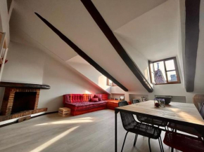 Charming attic in city centre